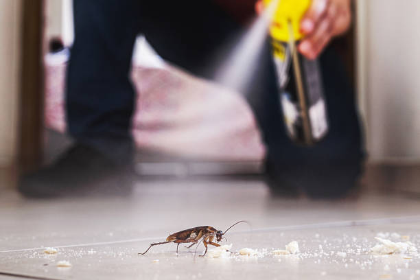 Best Pest Prevention Services  in Del Mar, CA